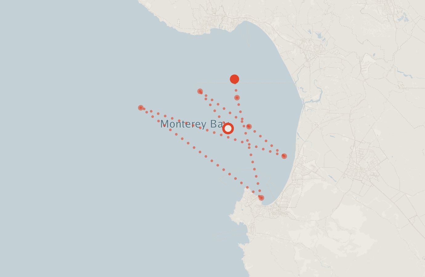 Activity map — real sighting points on an OpenStreetMap basemap
