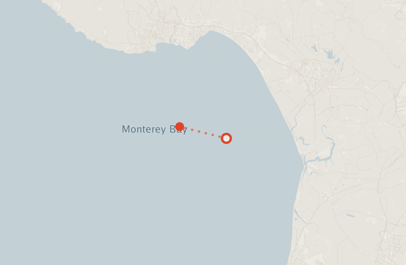 Activity map — real sighting points on an OpenStreetMap basemap