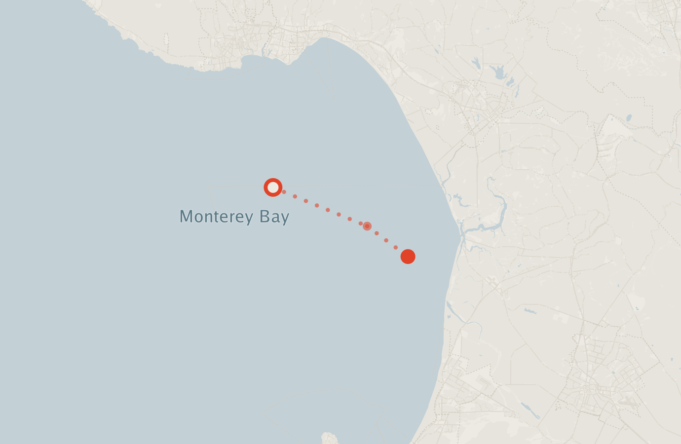 Activity map — real sighting points on an OpenStreetMap basemap