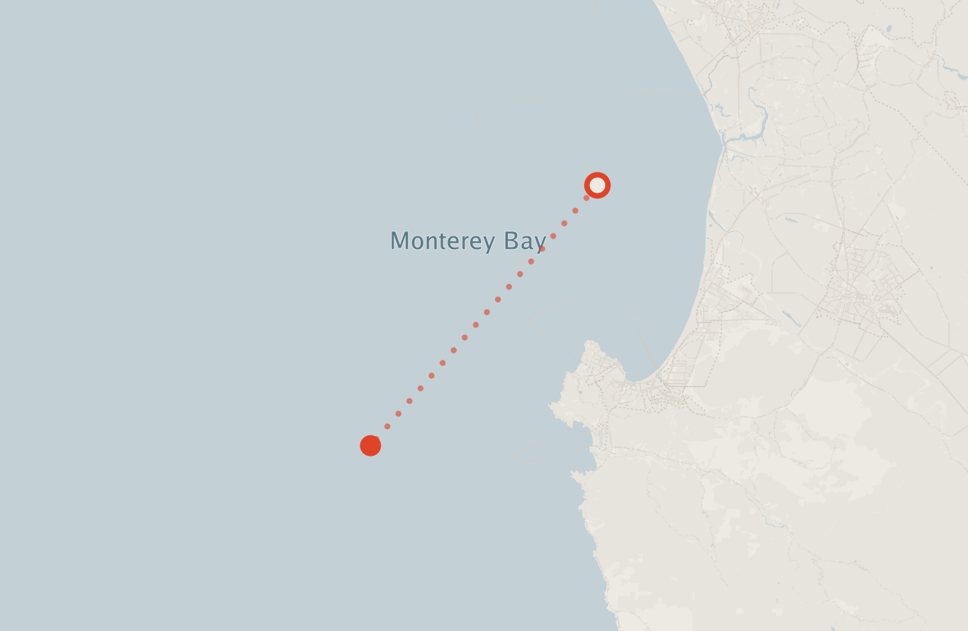 Activity map — real sighting points on an OpenStreetMap basemap