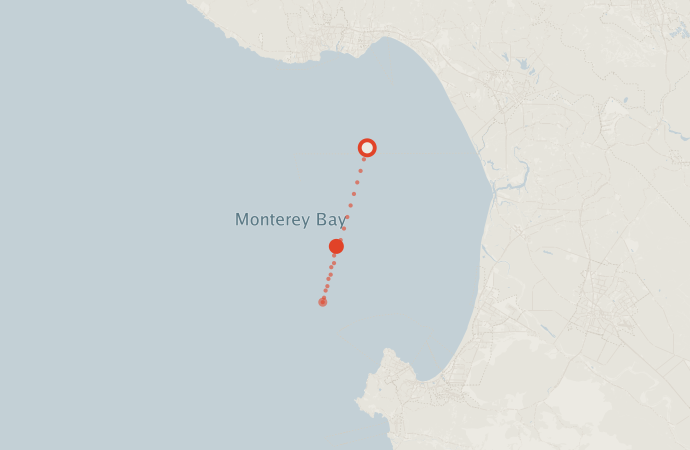 Activity map — real sighting points on an OpenStreetMap basemap
