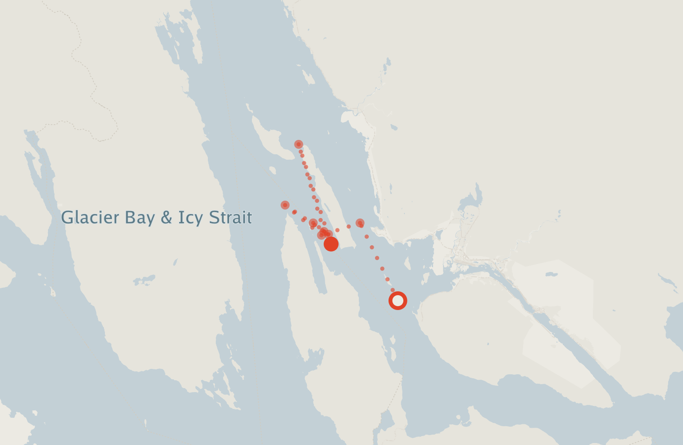 Activity map — real sighting points on an OpenStreetMap basemap