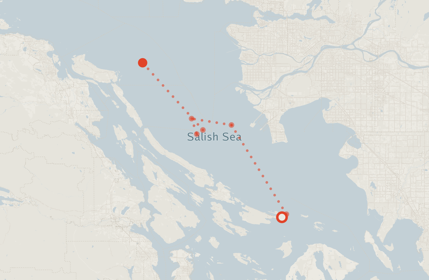 Activity map — real sighting points on an OpenStreetMap basemap