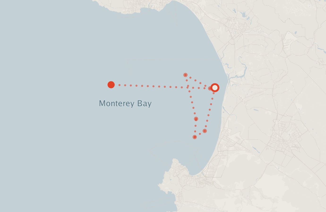 Activity map — real sighting points on an OpenStreetMap basemap