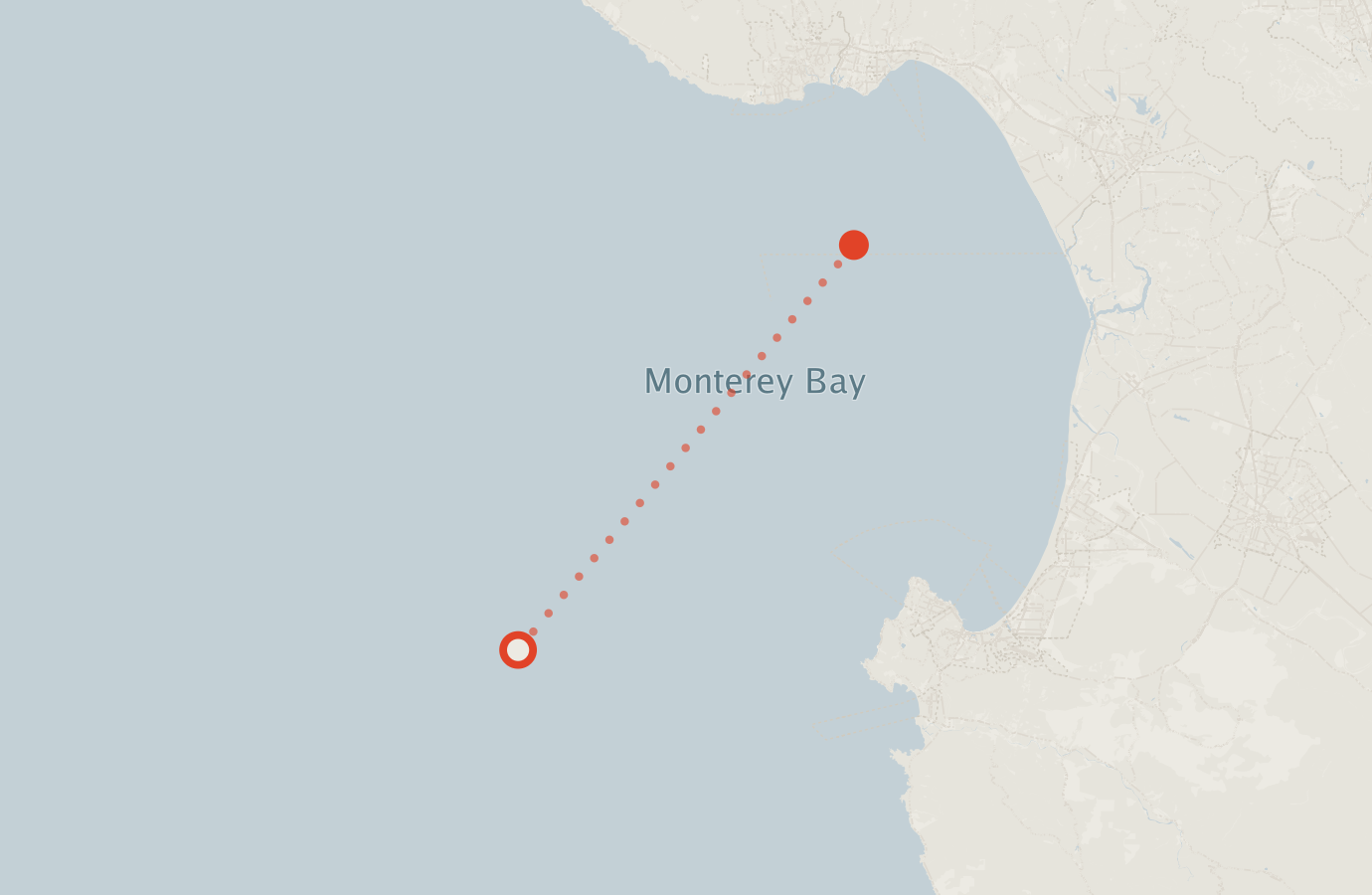 Activity map — real sighting points on an OpenStreetMap basemap