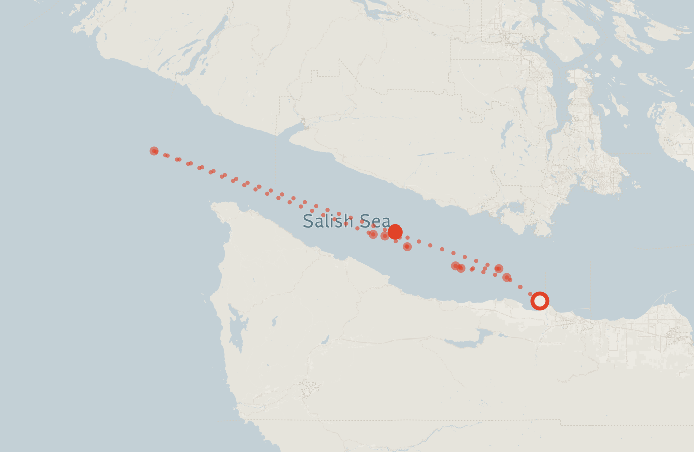 Activity map — real sighting points on an OpenStreetMap basemap