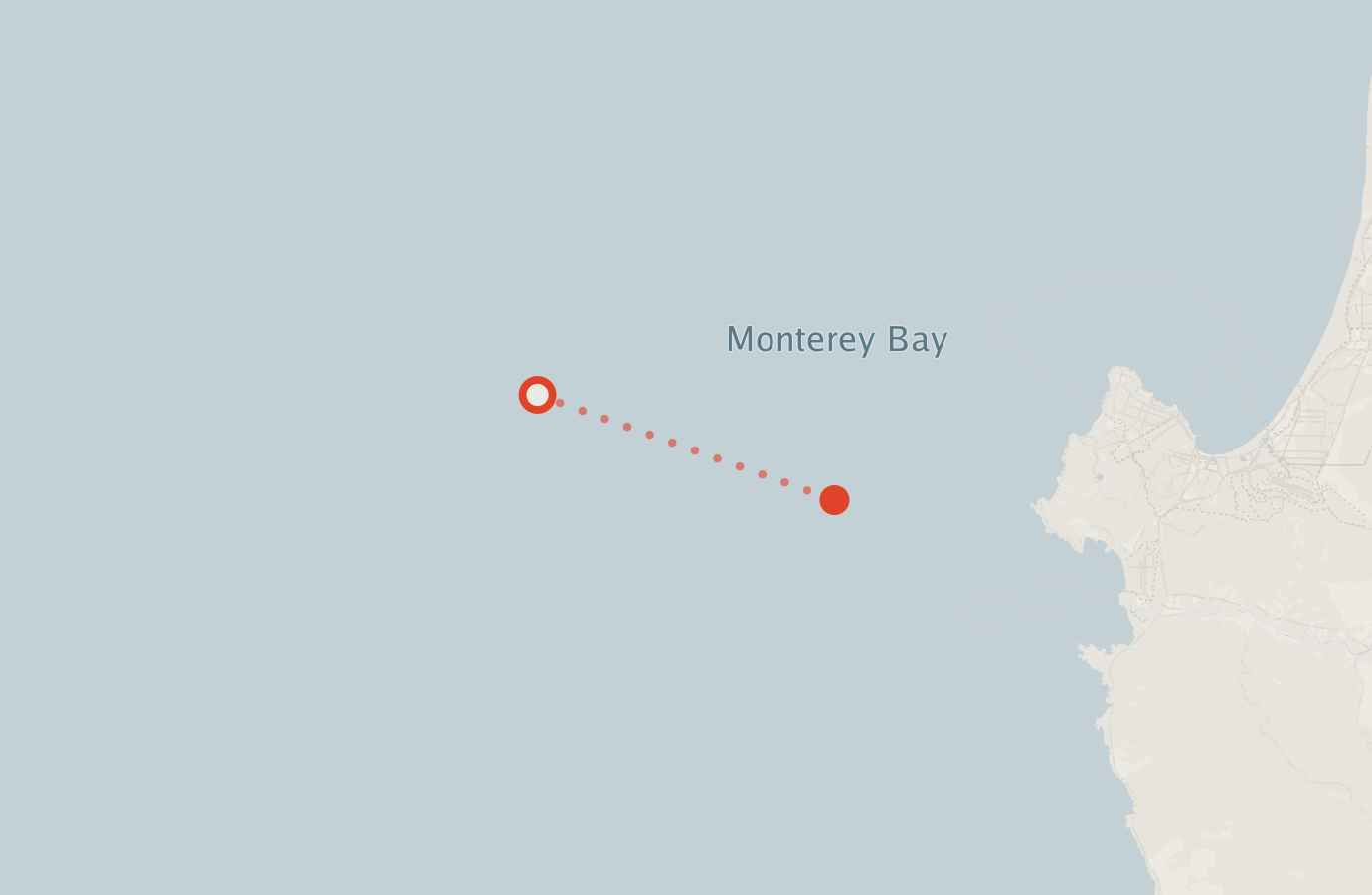 Activity map — real sighting points on an OpenStreetMap basemap