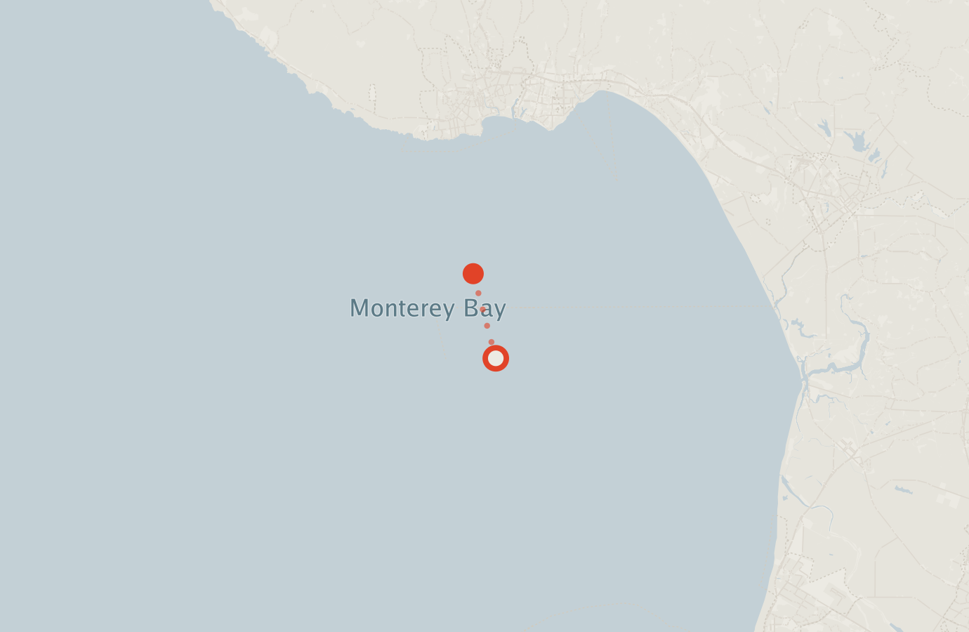 Activity map — real sighting points on an OpenStreetMap basemap