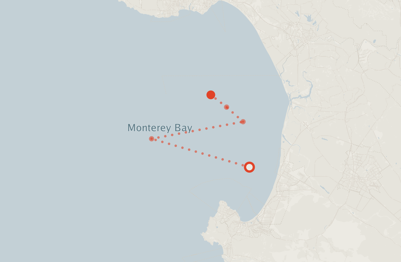 Activity map — real sighting points on an OpenStreetMap basemap