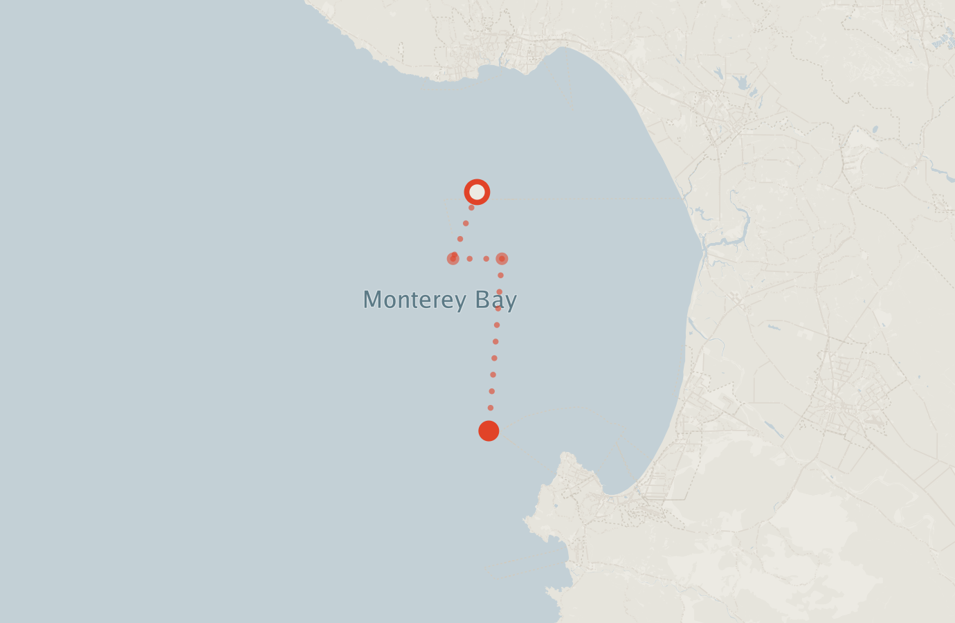 Activity map — real sighting points on an OpenStreetMap basemap