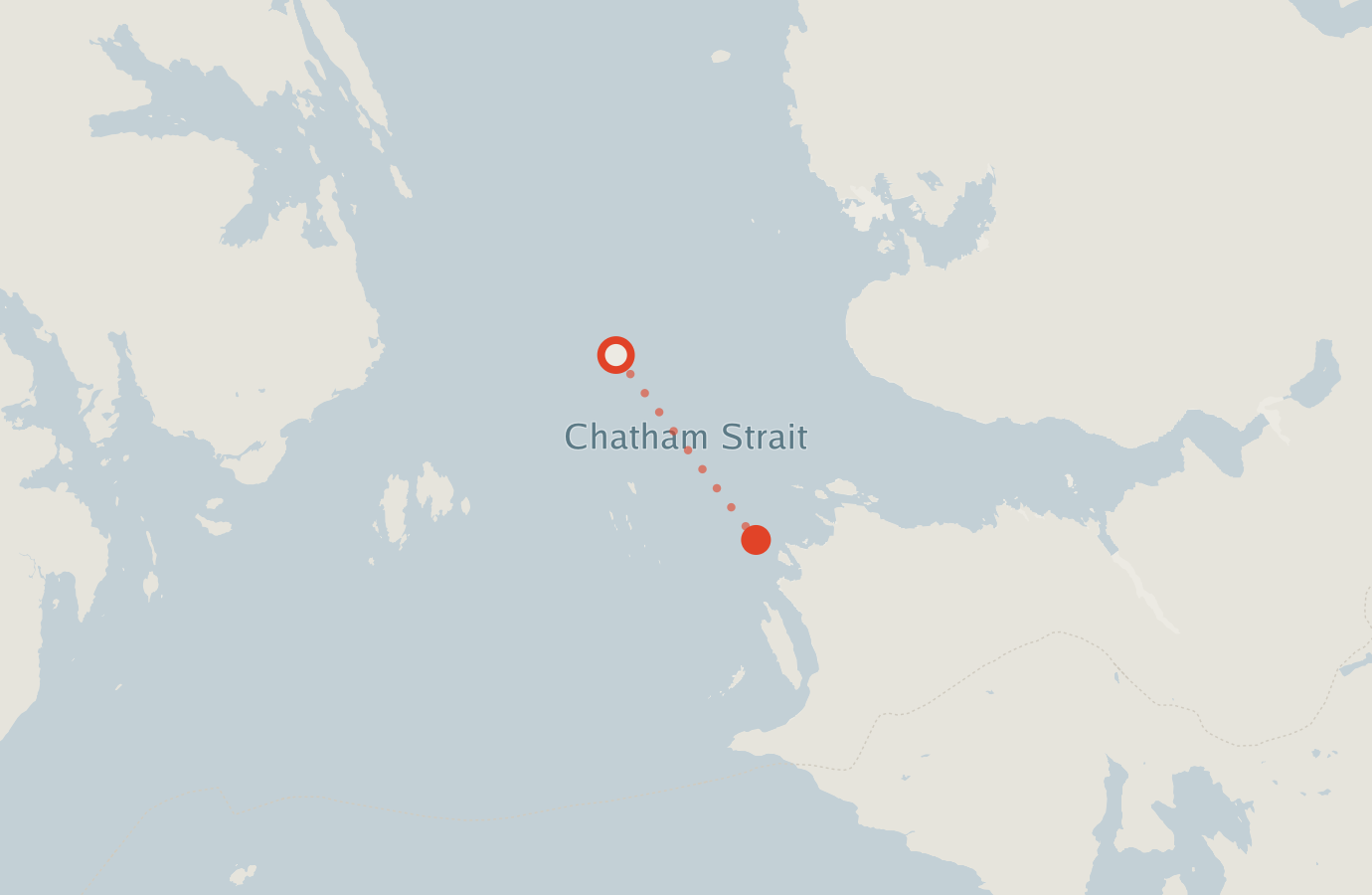 Activity map — real sighting points on an OpenStreetMap basemap