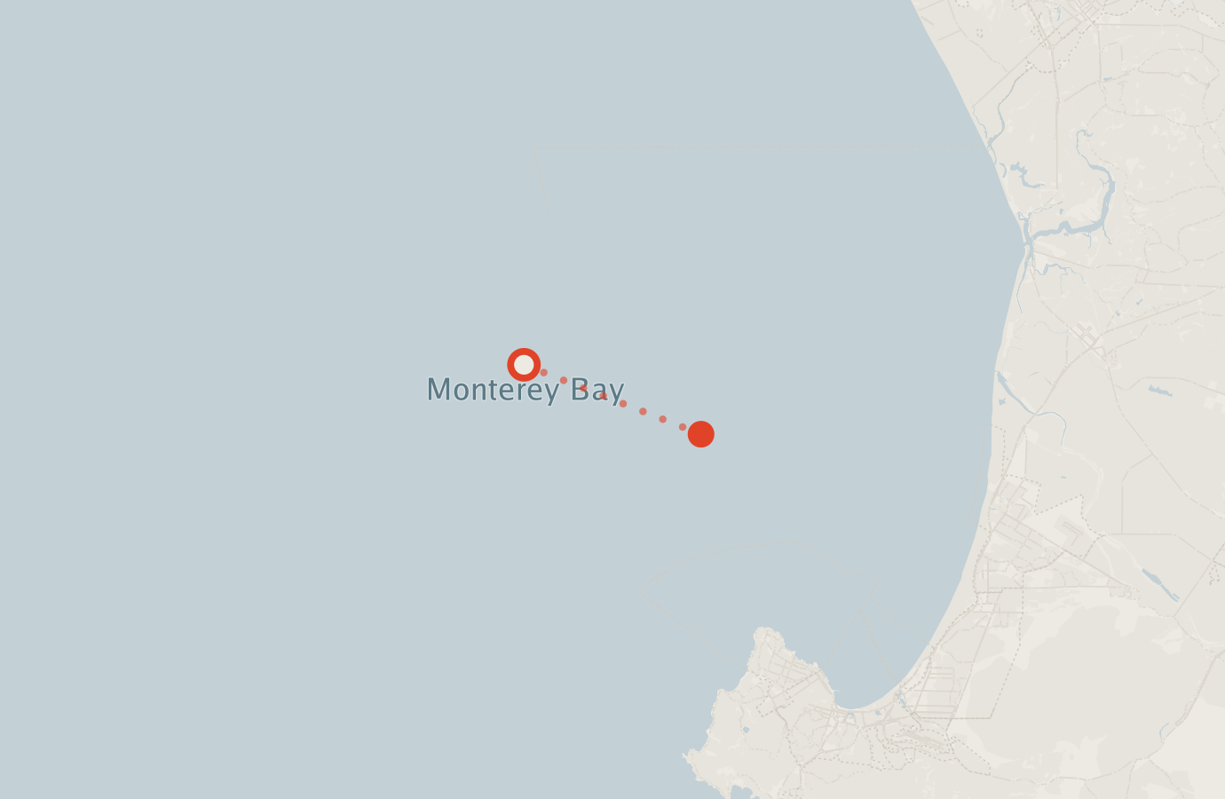 Activity map — real sighting points on an OpenStreetMap basemap