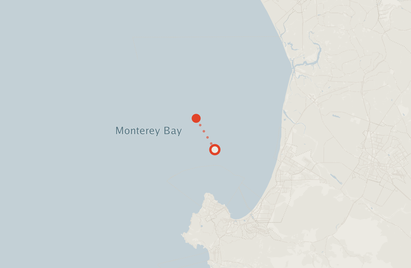 Activity map — real sighting points on an OpenStreetMap basemap