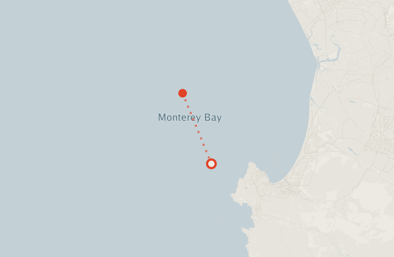 Activity map — real sighting points on an OpenStreetMap basemap
