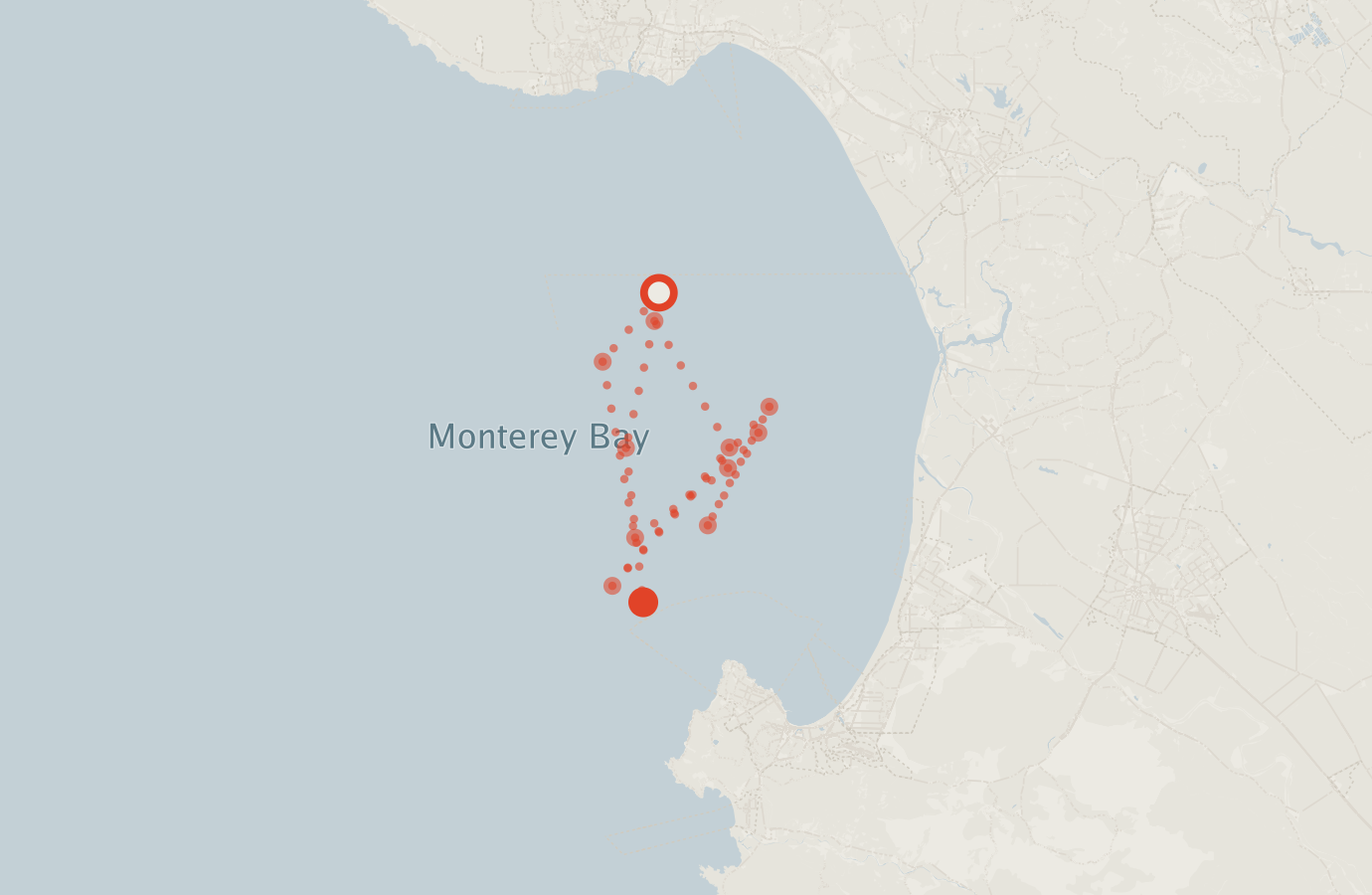 Activity map — real sighting points on an OpenStreetMap basemap