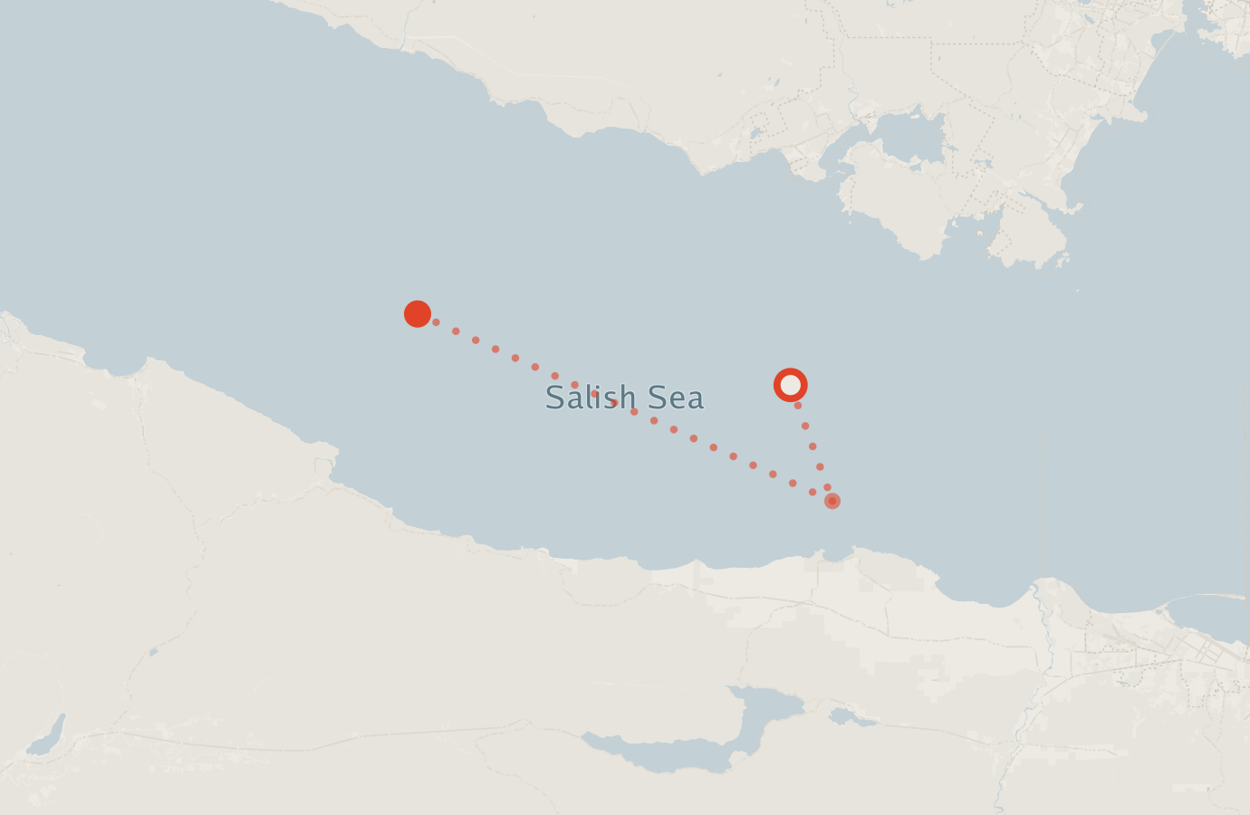 Activity map — real sighting points on an OpenStreetMap basemap