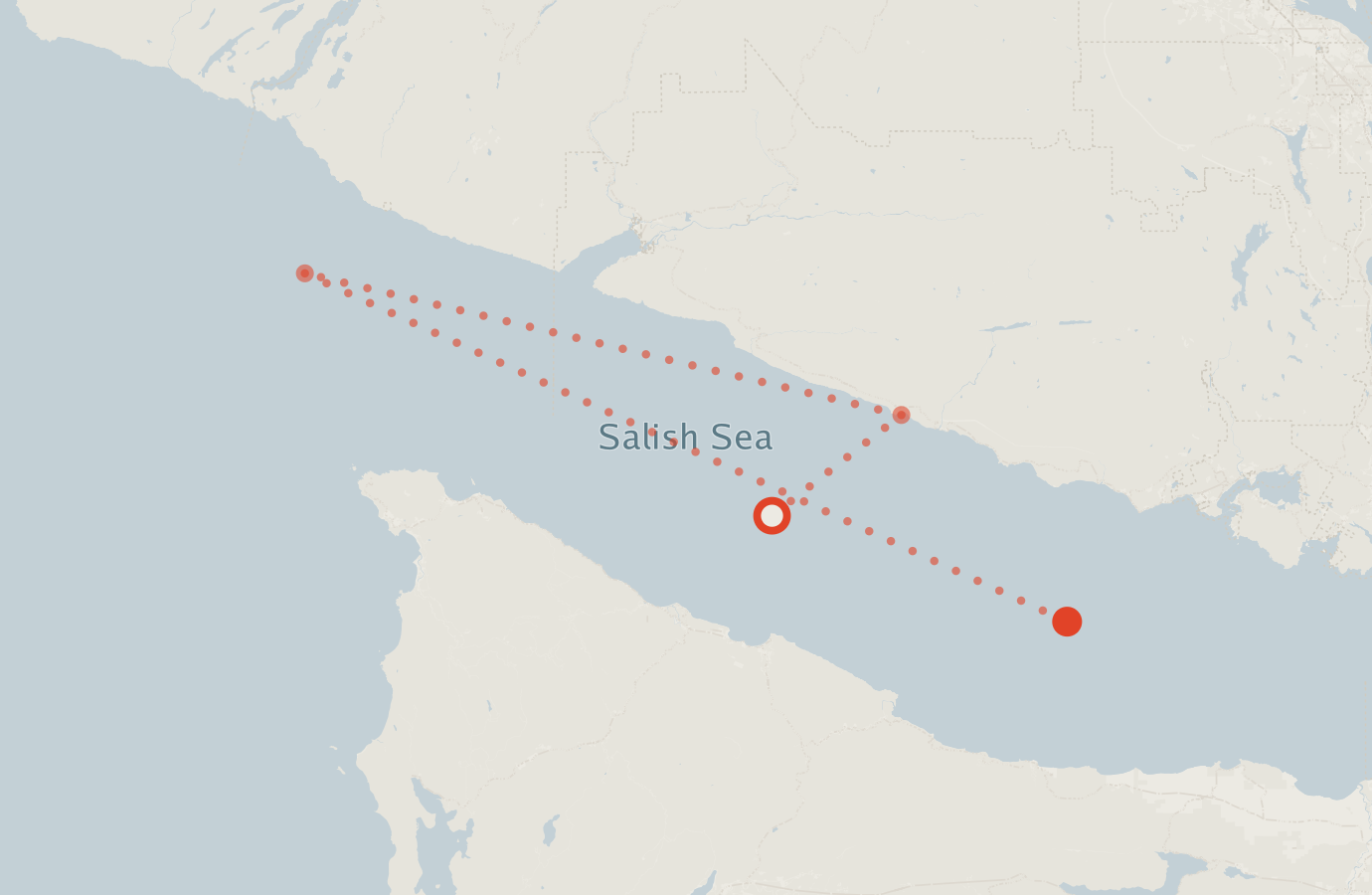 Activity map — real sighting points on an OpenStreetMap basemap