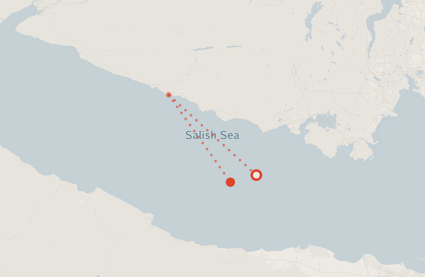 Activity map — real sighting points on an OpenStreetMap basemap