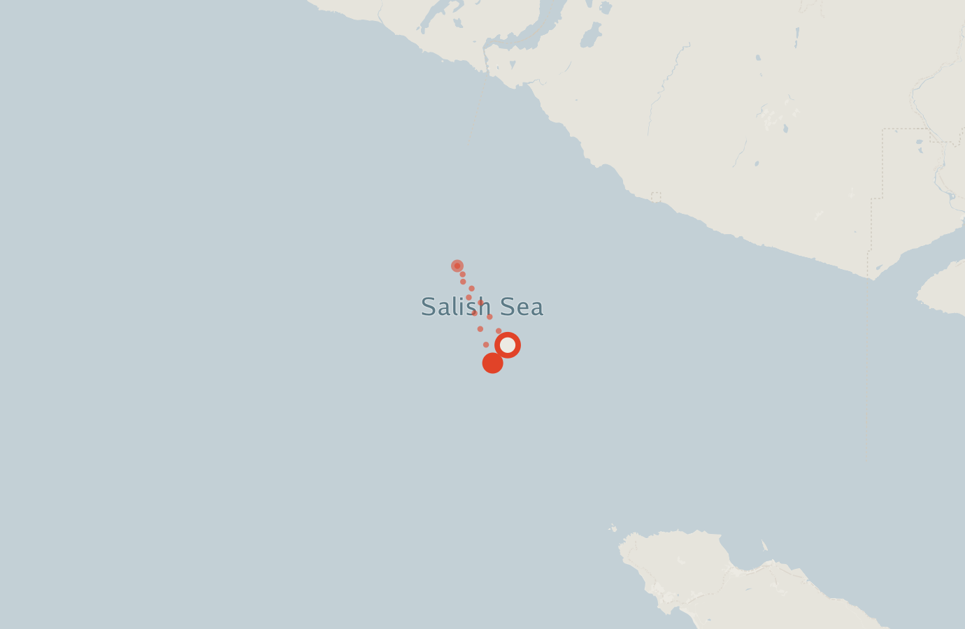 Activity map — real sighting points on an OpenStreetMap basemap