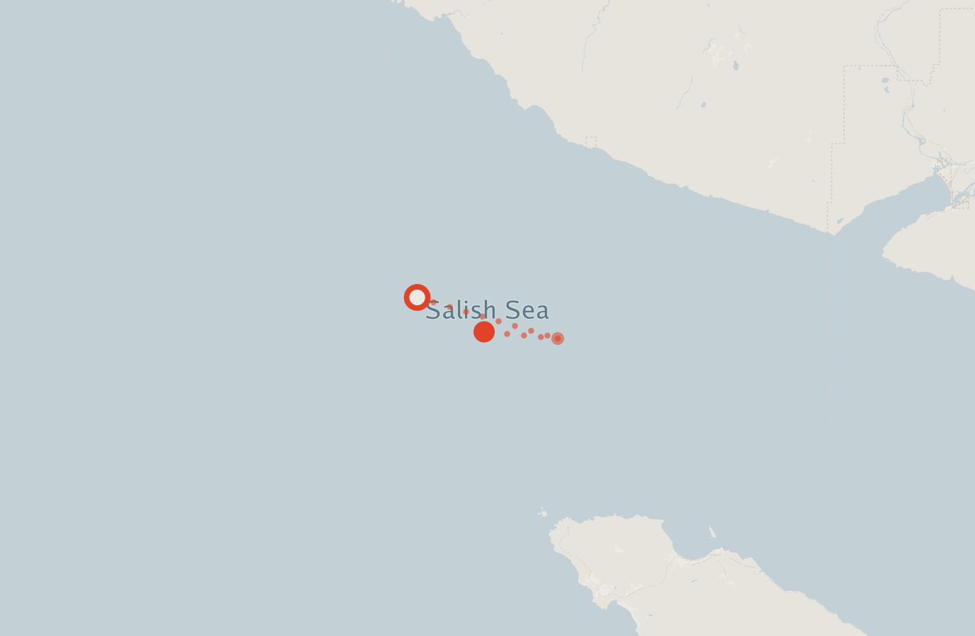 Activity map — real sighting points on an OpenStreetMap basemap