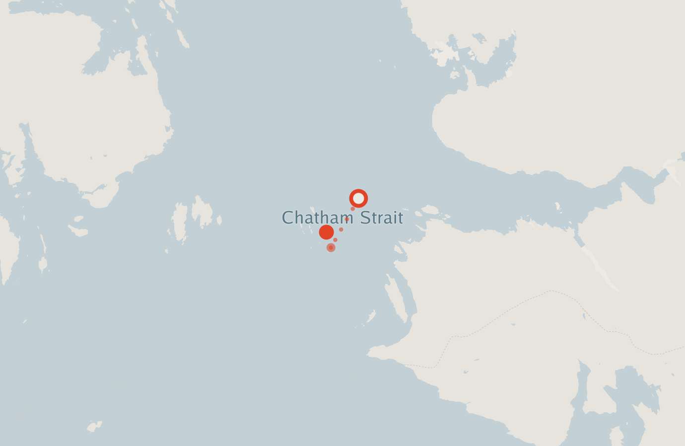 Activity map — real sighting points on an OpenStreetMap basemap