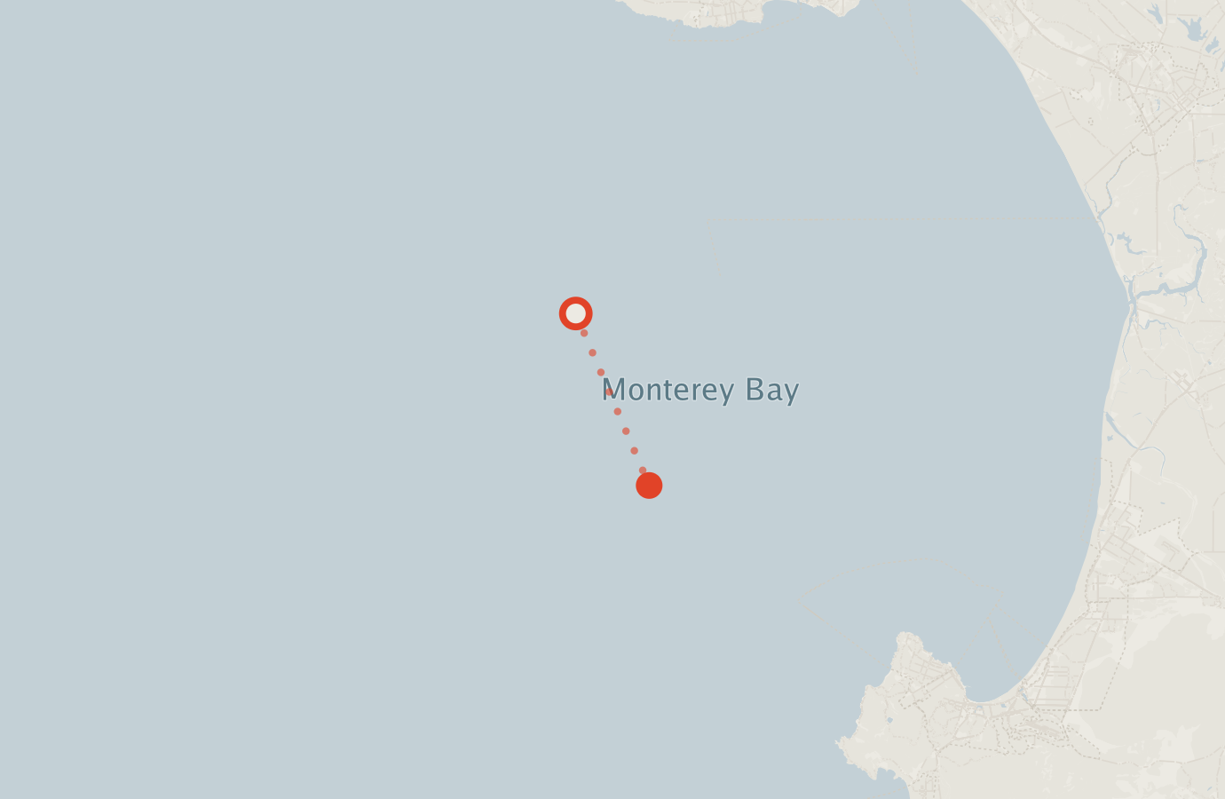 Activity map — real sighting points on an OpenStreetMap basemap