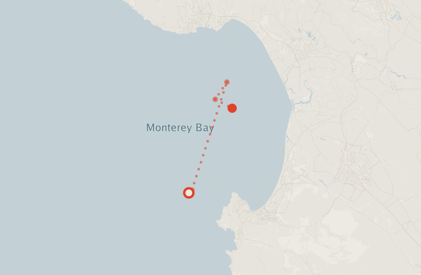 Activity map — real sighting points on an OpenStreetMap basemap