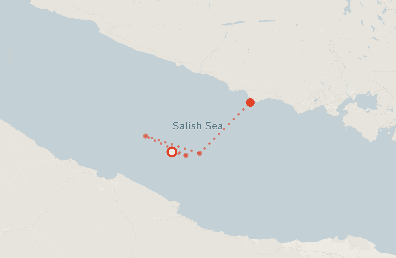 Activity map — real sighting points on an OpenStreetMap basemap