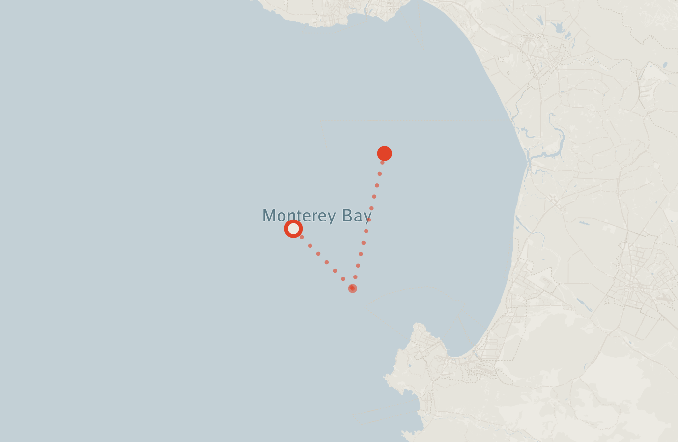 Activity map — real sighting points on an OpenStreetMap basemap