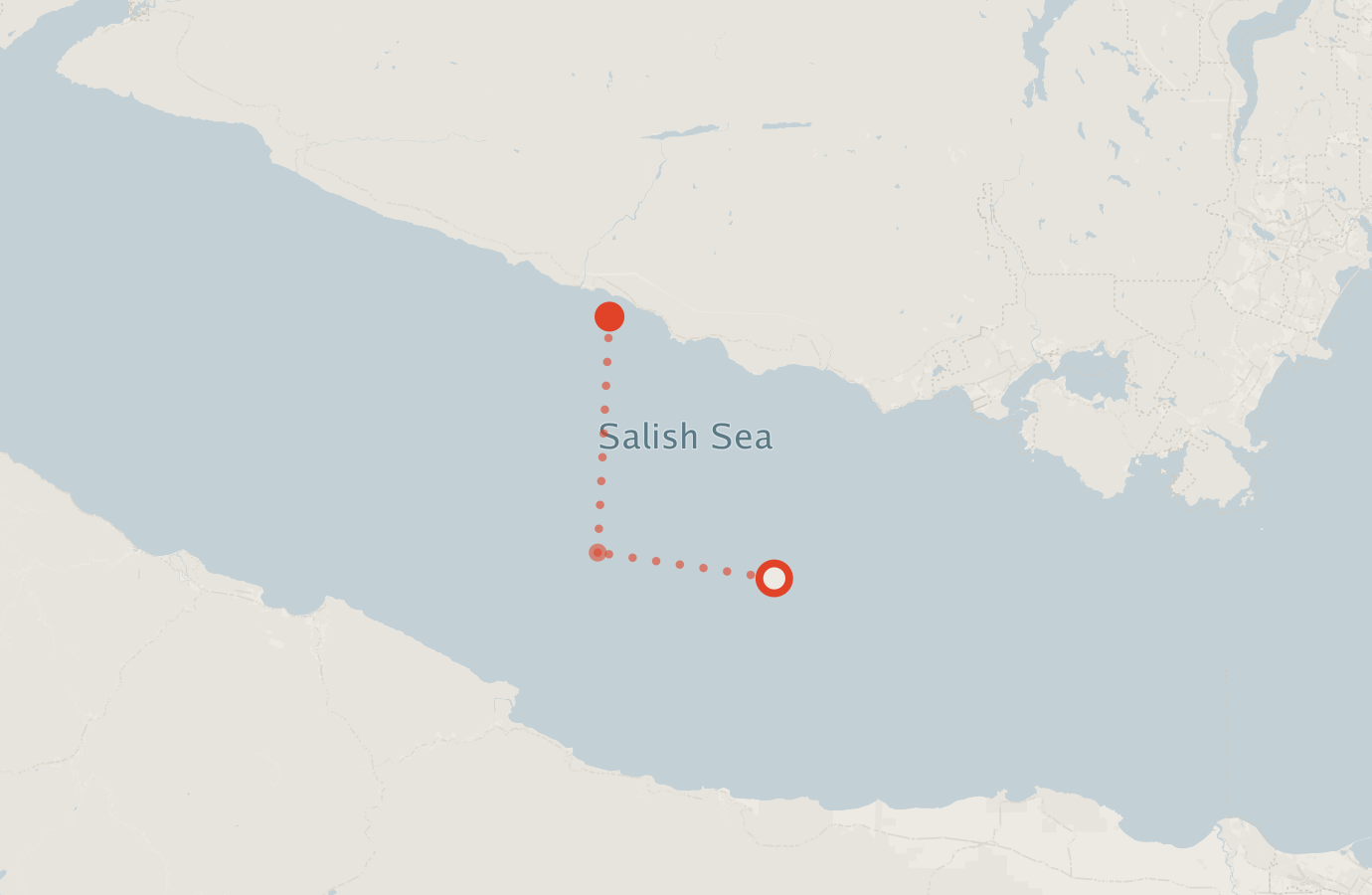 Activity map — real sighting points on an OpenStreetMap basemap