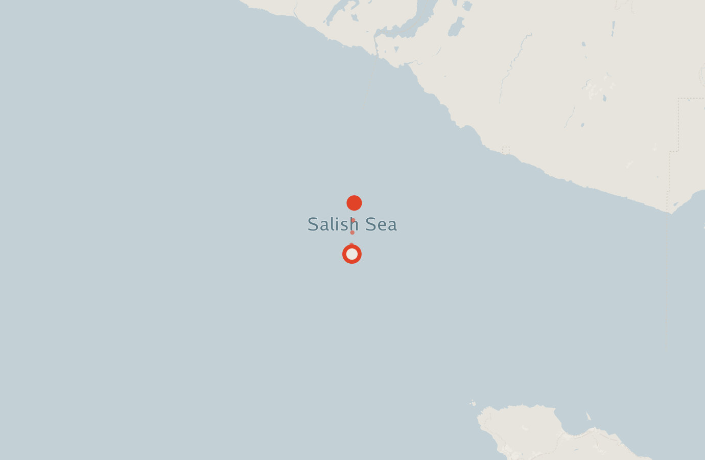 Activity map — real sighting points on an OpenStreetMap basemap