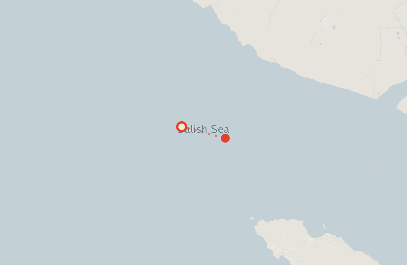 Activity map — real sighting points on an OpenStreetMap basemap