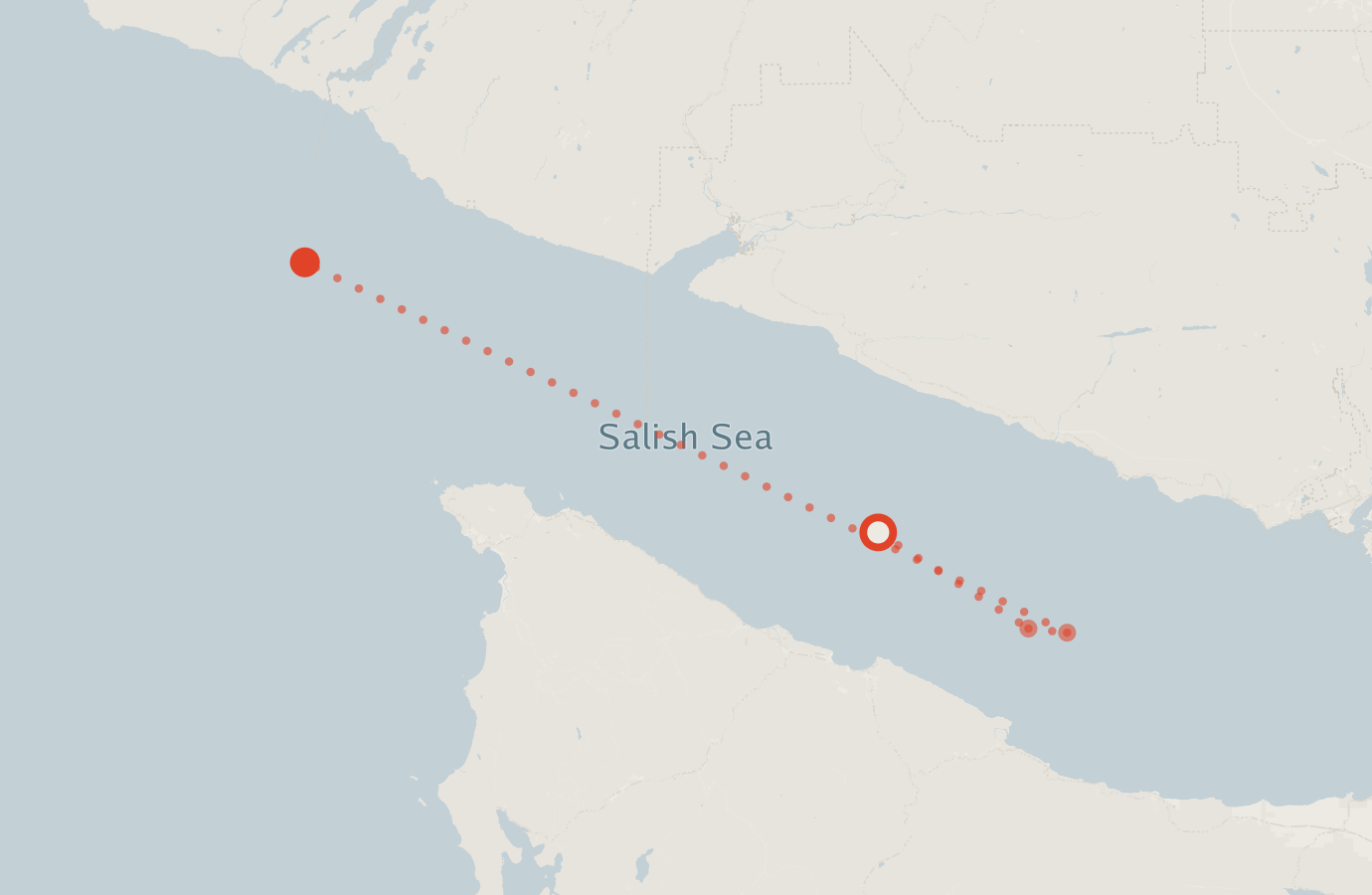 Activity map — real sighting points on an OpenStreetMap basemap
