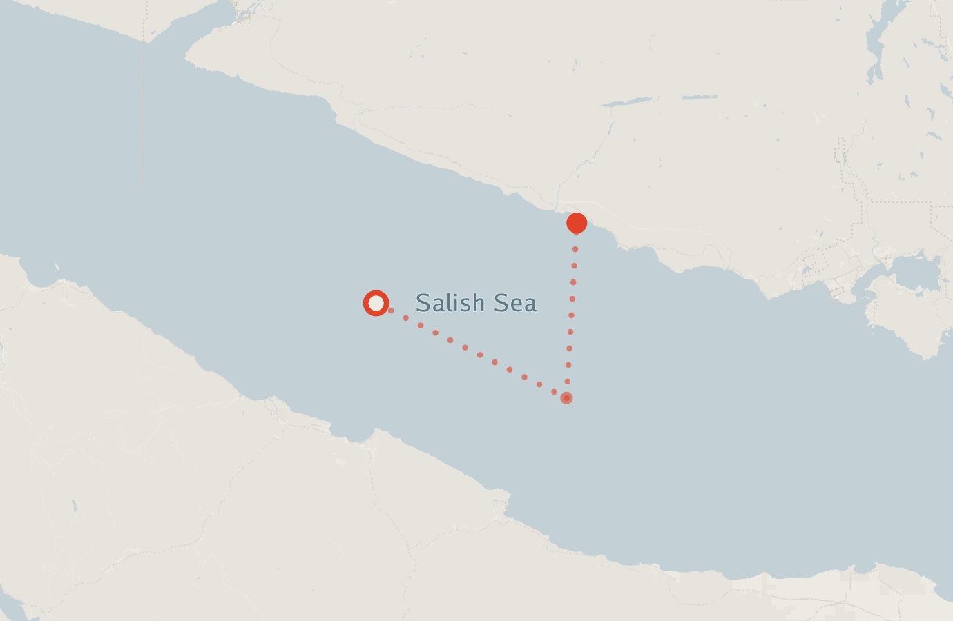 Activity map — real sighting points on an OpenStreetMap basemap