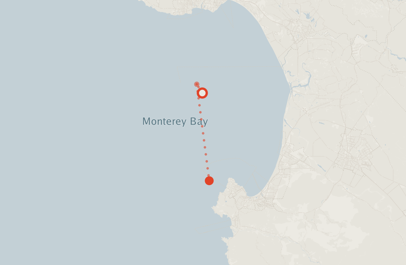 Activity map — real sighting points on an OpenStreetMap basemap