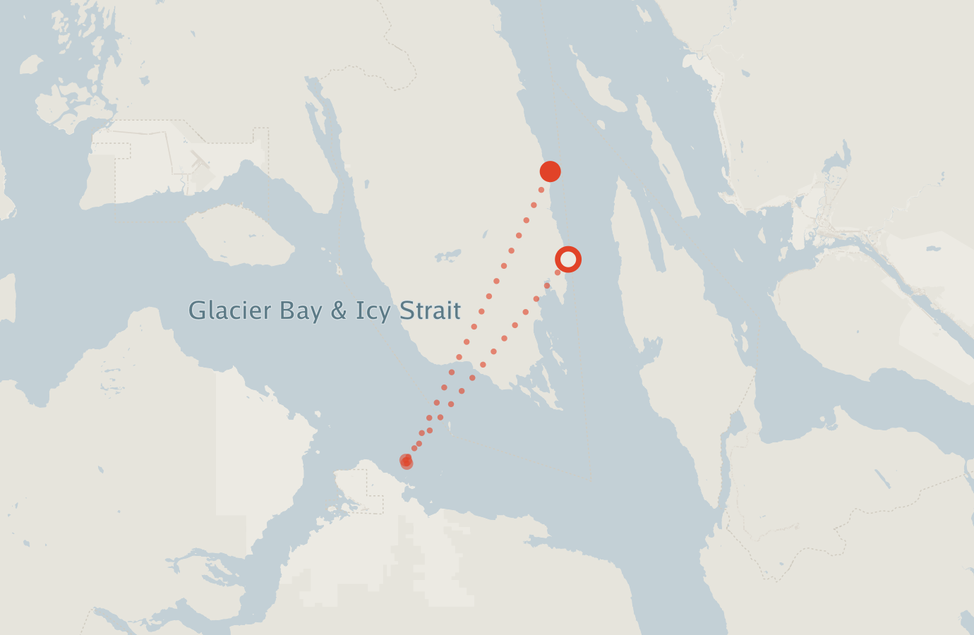 Activity map — real sighting points on an OpenStreetMap basemap