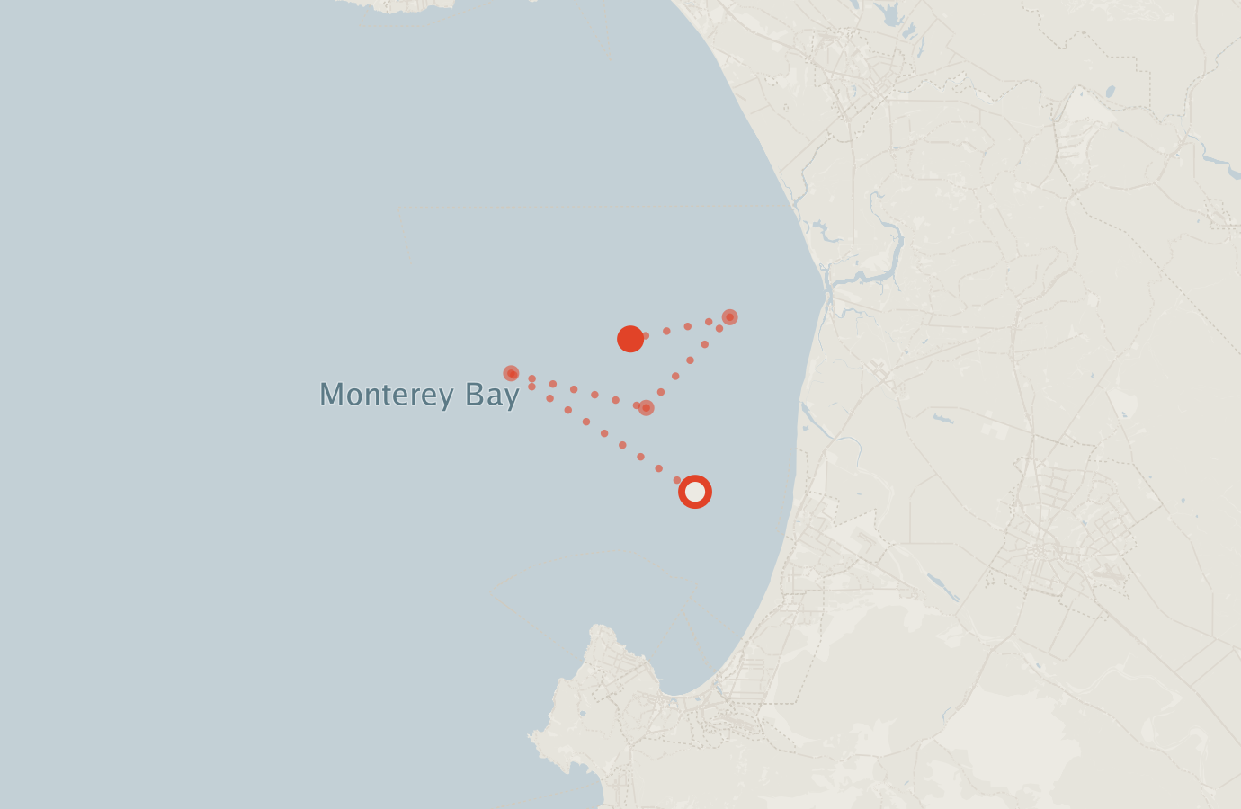 Activity map — real sighting points on an OpenStreetMap basemap