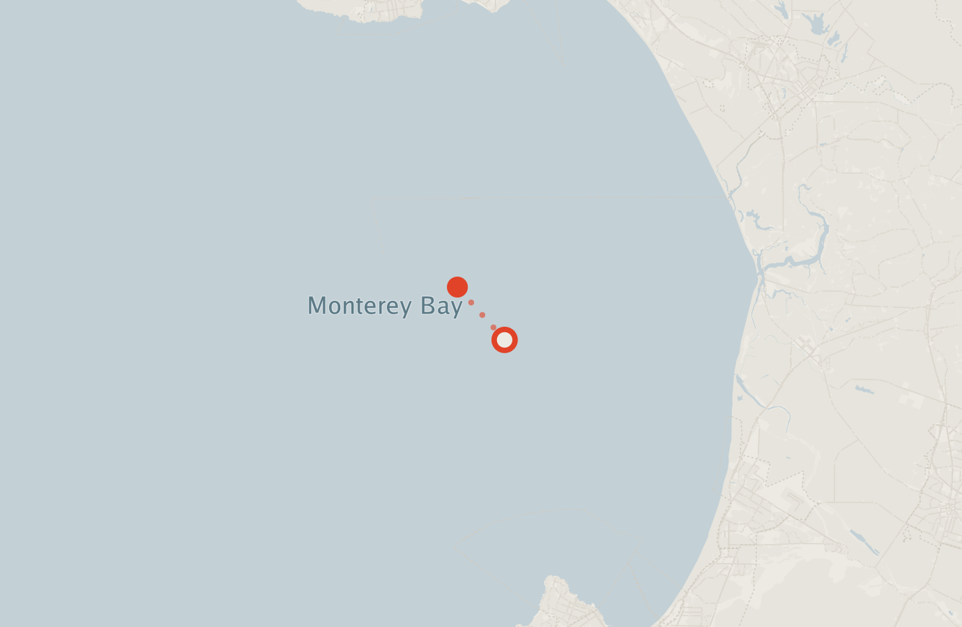Activity map — real sighting points on an OpenStreetMap basemap