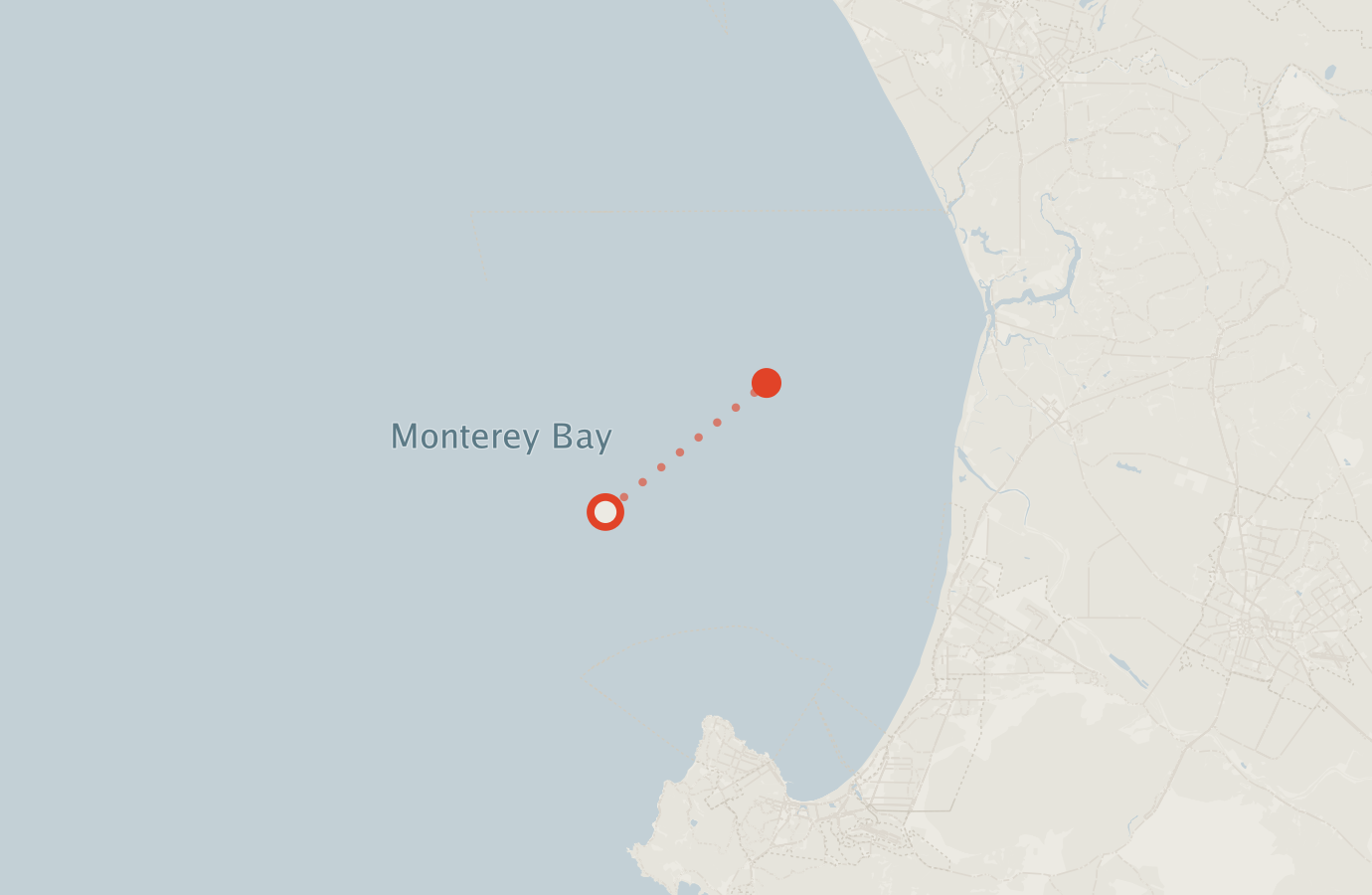 Activity map — real sighting points on an OpenStreetMap basemap