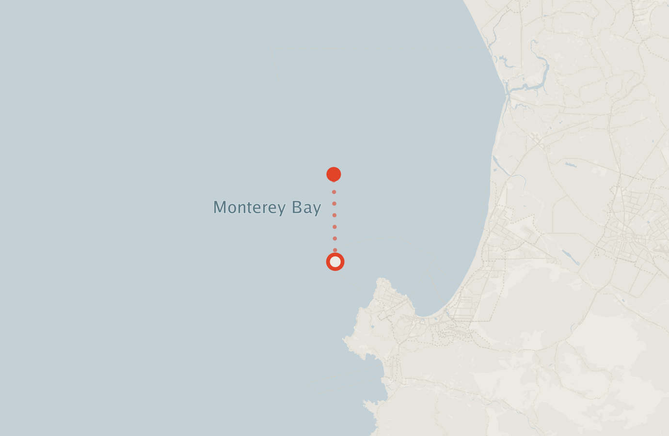Activity map — real sighting points on an OpenStreetMap basemap