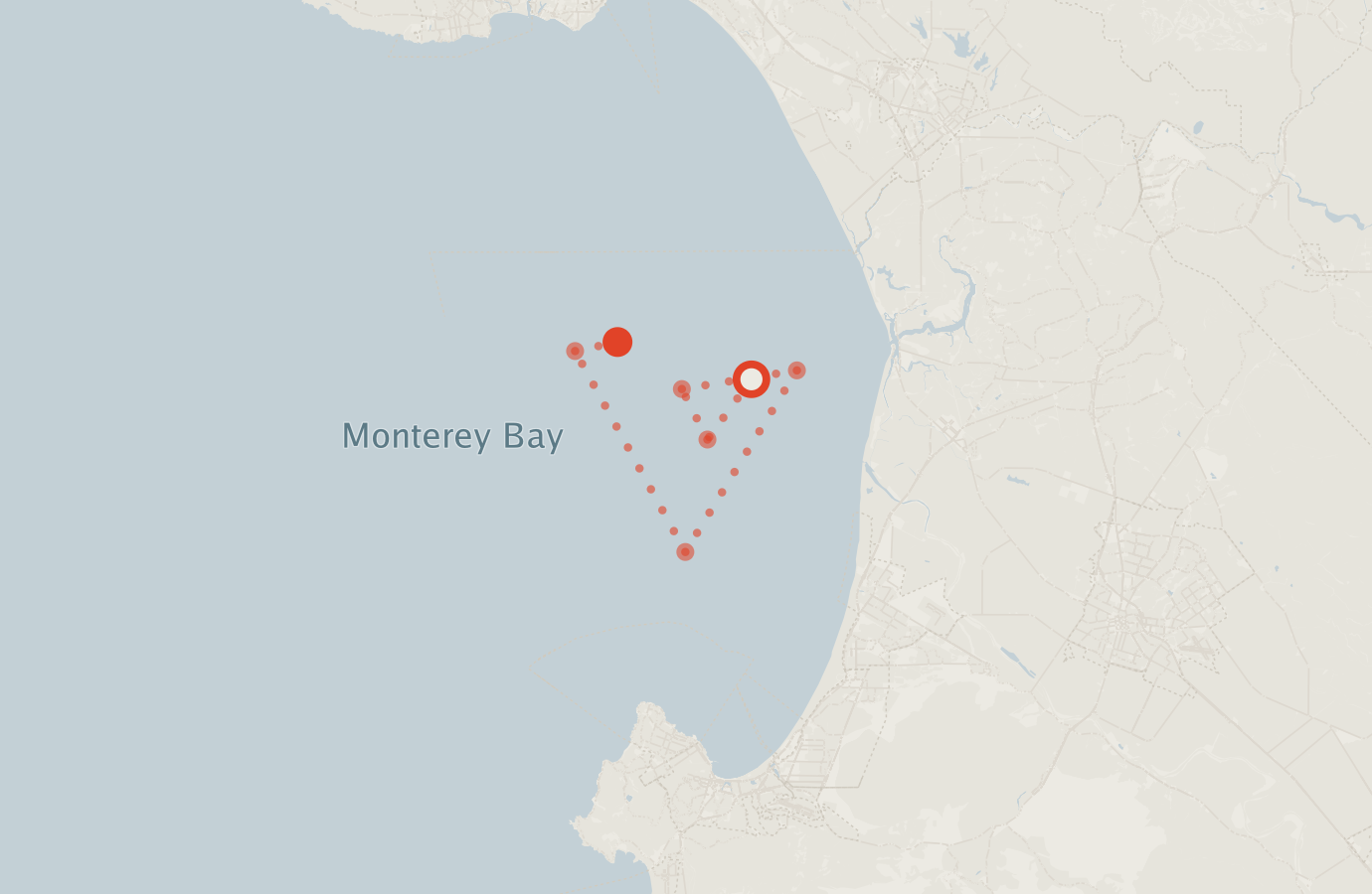 Activity map — real sighting points on an OpenStreetMap basemap