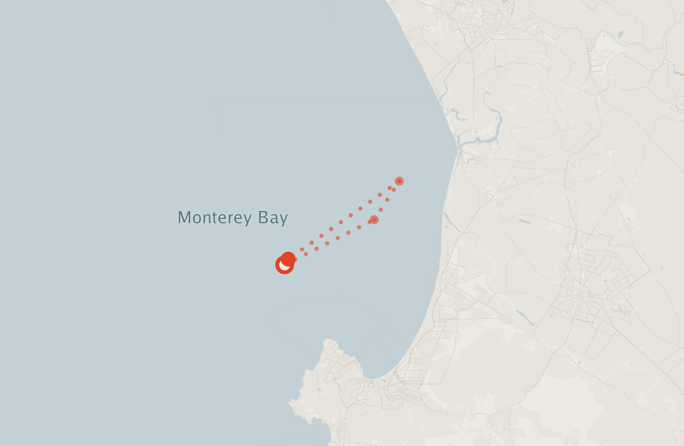 Activity map — real sighting points on an OpenStreetMap basemap
