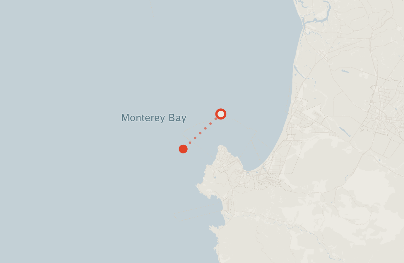 Activity map — real sighting points on an OpenStreetMap basemap