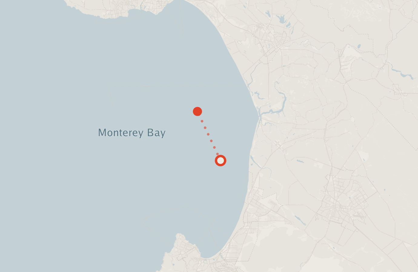Activity map — real sighting points on an OpenStreetMap basemap
