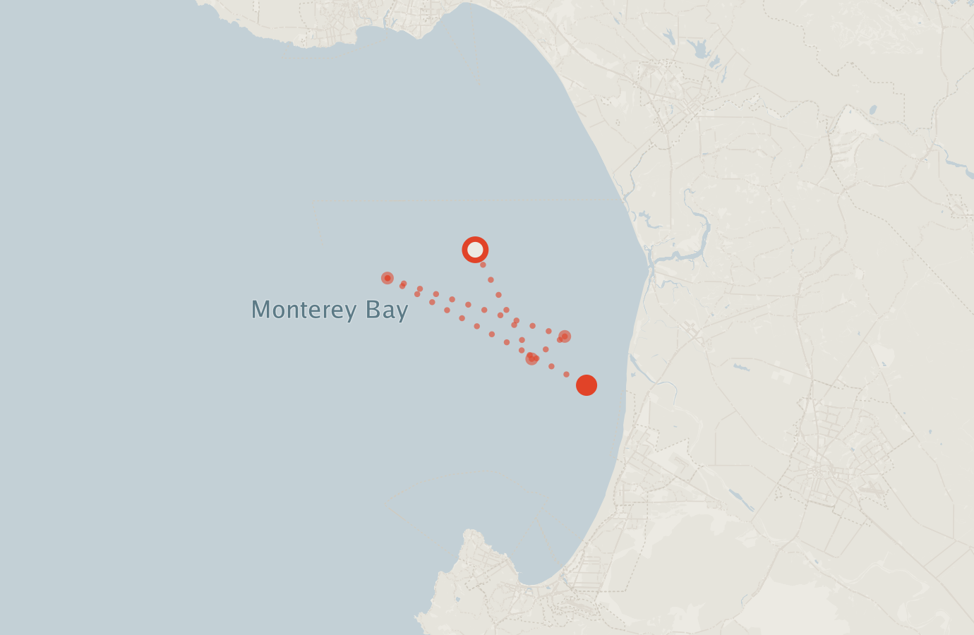 Activity map — real sighting points on an OpenStreetMap basemap