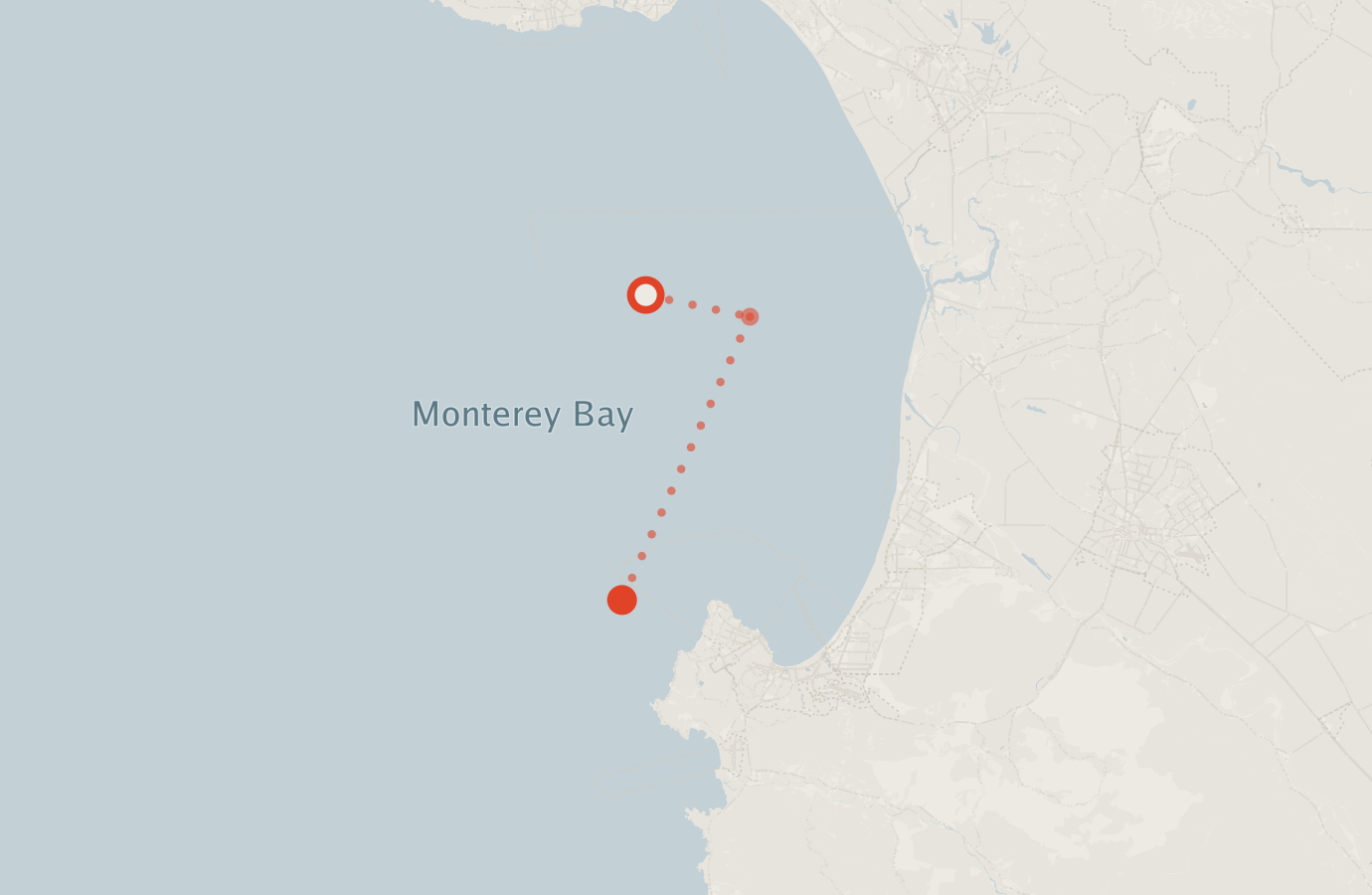 Activity map — real sighting points on an OpenStreetMap basemap