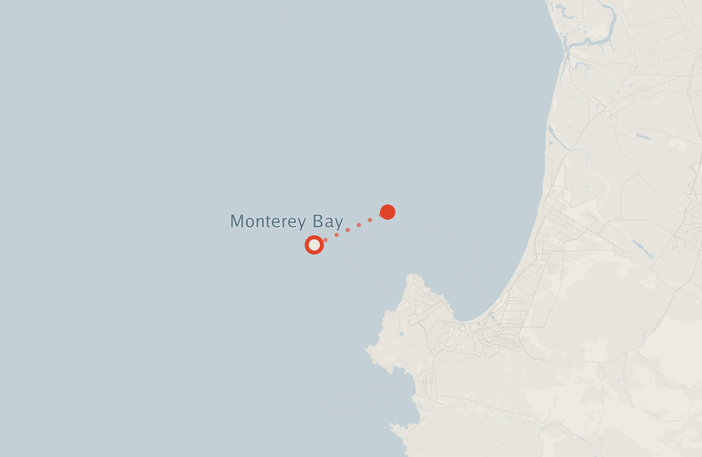 Activity map — real sighting points on an OpenStreetMap basemap