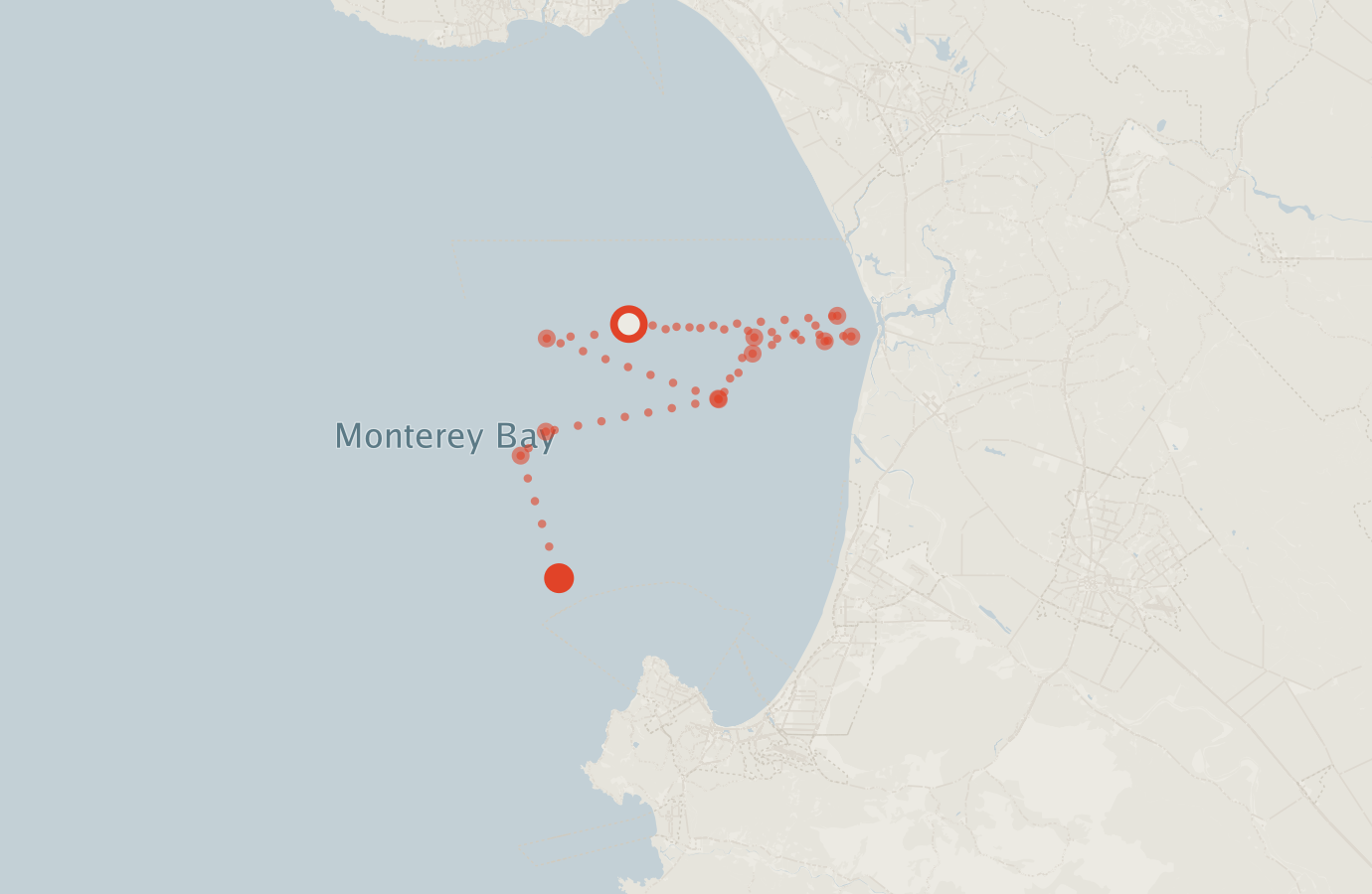 Activity map — real sighting points on an OpenStreetMap basemap