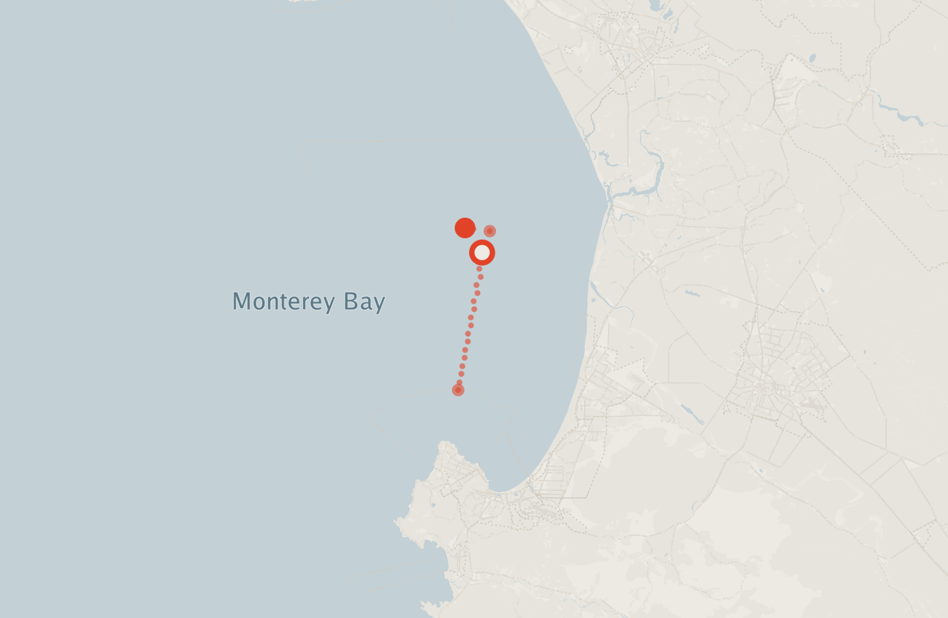 Activity map — real sighting points on an OpenStreetMap basemap