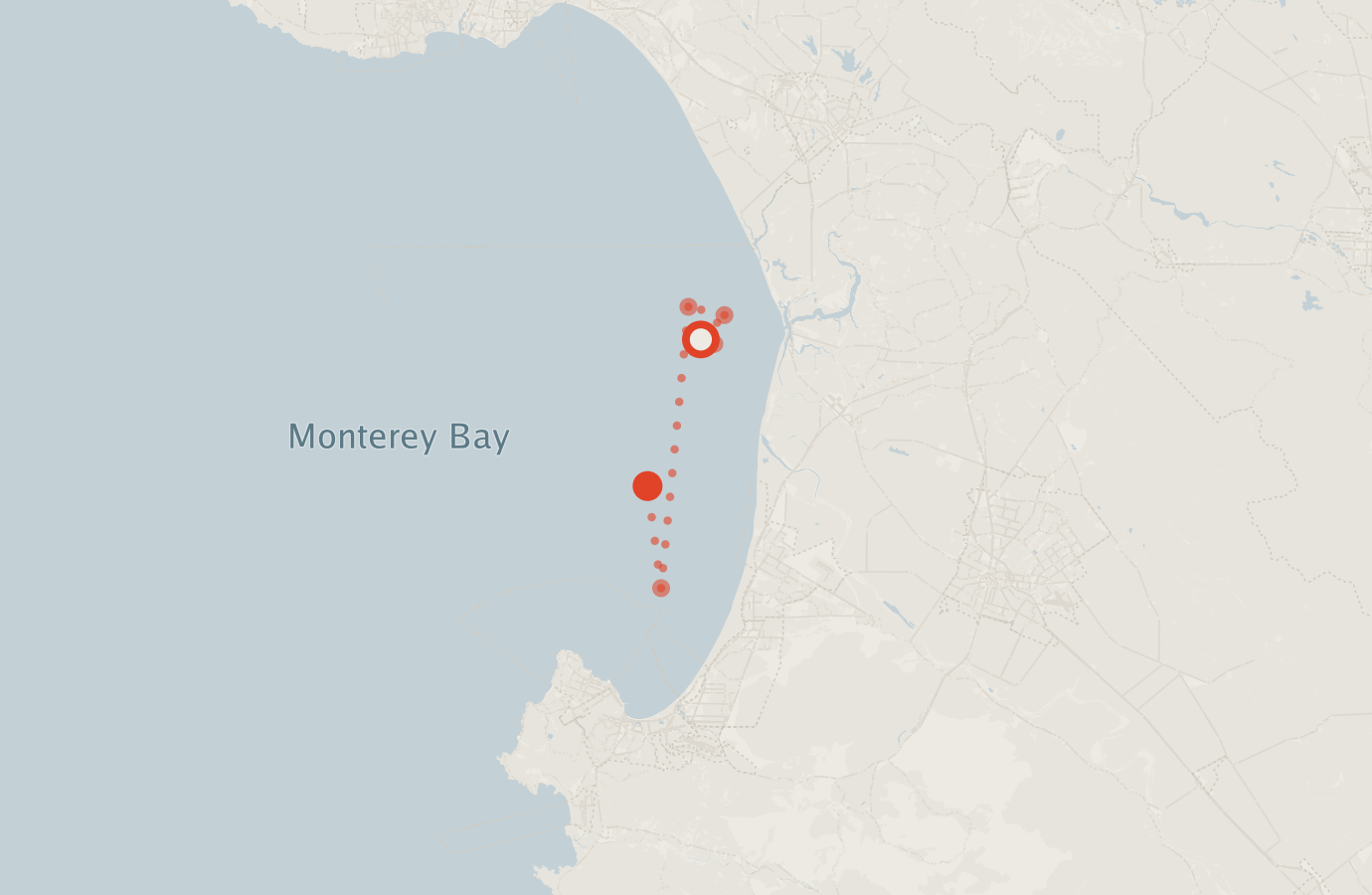 Activity map — real sighting points on an OpenStreetMap basemap